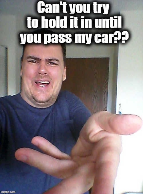 wow! | Can't you try to hold it in until you pass my car?? | image tagged in wow | made w/ Imgflip meme maker