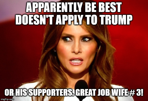 Melania trump  | APPARENTLY BE BEST DOESN'T APPLY TO TRUMP; OR HIS SUPPORTERS. GREAT JOB WIFE # 3! | image tagged in melania trump | made w/ Imgflip meme maker