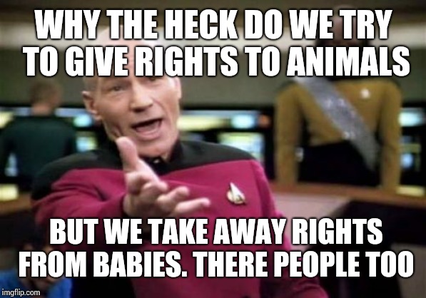 Picard Wtf | WHY THE HECK DO WE TRY TO GIVE RIGHTS TO ANIMALS; BUT WE TAKE AWAY RIGHTS FROM BABIES. THERE PEOPLE TOO | image tagged in memes,picard wtf | made w/ Imgflip meme maker