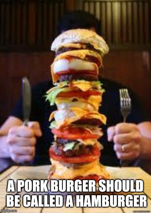 burger | A PORK BURGER SHOULD BE CALLED A HAMBURGER | image tagged in burger | made w/ Imgflip meme maker