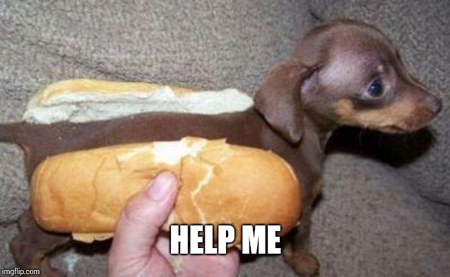 asian hot dog | HELP ME | image tagged in asian hot dog | made w/ Imgflip meme maker