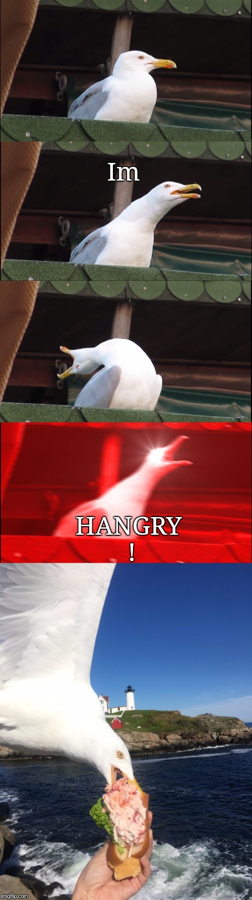 When ur Hangery ! | Im; HANGRY ! | image tagged in memes,inhaling seagull,animals,funny,birds | made w/ Imgflip meme maker