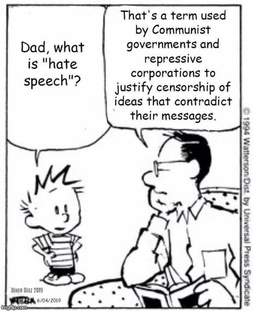 "Hate speech is just free speech that liberals don't like." - Charlie Kirk | image tagged in memes,funny,calvin and hobbes,politics,liberals,hate speech | made w/ Imgflip meme maker