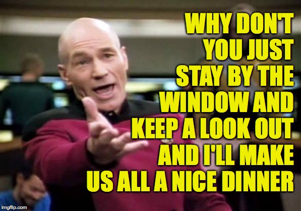 Picard Wtf Meme | WHY DON'T YOU JUST STAY BY THE WINDOW AND KEEP A LOOK OUT AND I'LL MAKE US ALL A NICE DINNER | image tagged in memes,picard wtf | made w/ Imgflip meme maker