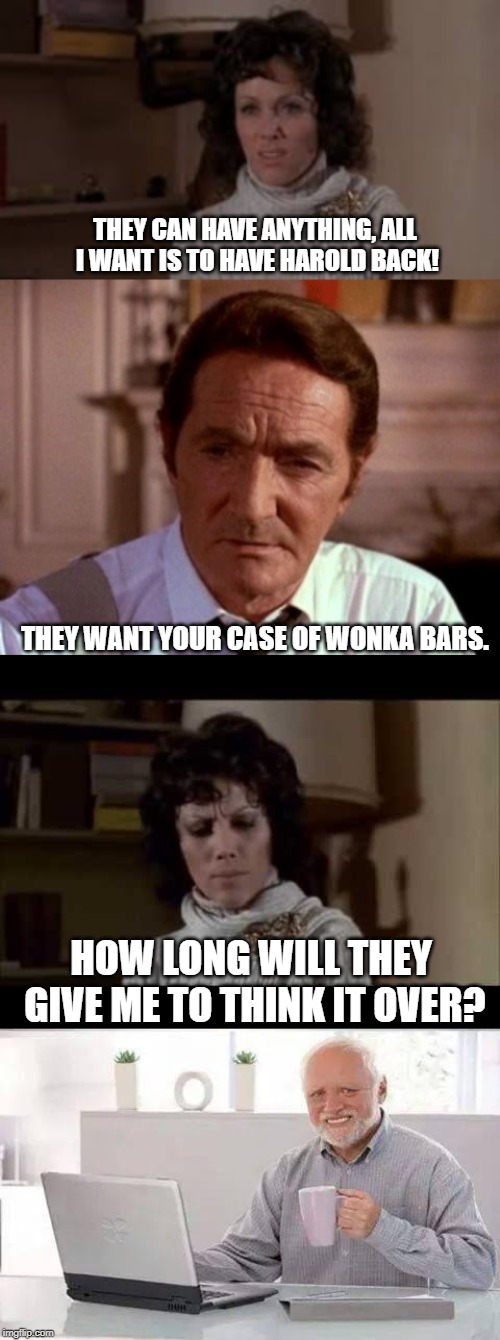 Harold is having a rough time! | THEY CAN HAVE ANYTHING, ALL I WANT IS TO HAVE HAROLD BACK! THEY WANT YOUR CASE OF WONKA BARS. HOW LONG WILL THEY GIVE ME TO THINK IT OVER? | image tagged in memes,hide the pain harold | made w/ Imgflip meme maker