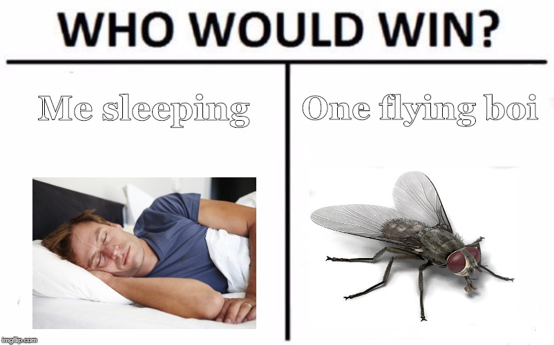 Who Would Win? Meme | Me sleeping; One flying boi | image tagged in memes,who would win | made w/ Imgflip meme maker