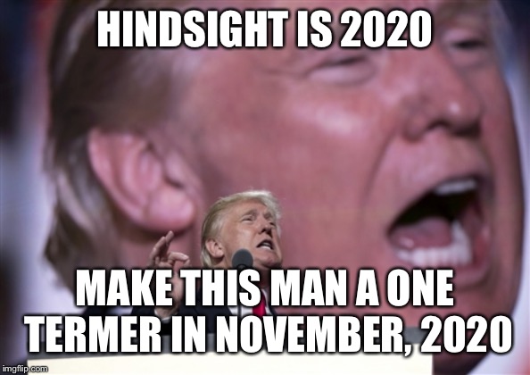 TrumpRNC2016 | HINDSIGHT IS 2020; MAKE THIS MAN A ONE TERMER IN NOVEMBER, 2020 | image tagged in trumprnc2016 | made w/ Imgflip meme maker