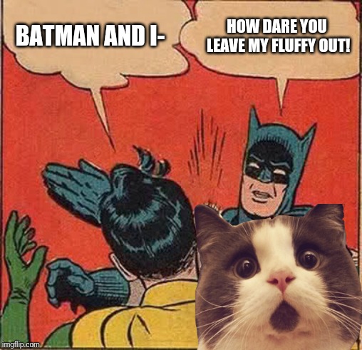 Batman Slapping Robin | BATMAN AND I-; HOW DARE YOU LEAVE MY FLUFFY OUT! | image tagged in memes,batman slapping robin | made w/ Imgflip meme maker