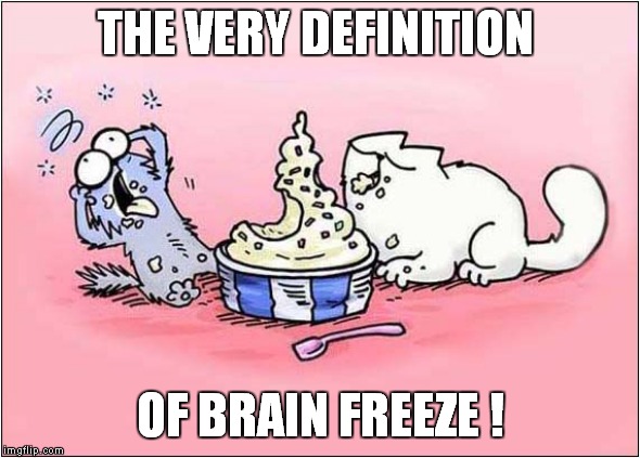 The Wonderful World of Simon's Cat ! | THE VERY DEFINITION; OF BRAIN FREEZE ! | image tagged in fun,simon's cat | made w/ Imgflip meme maker