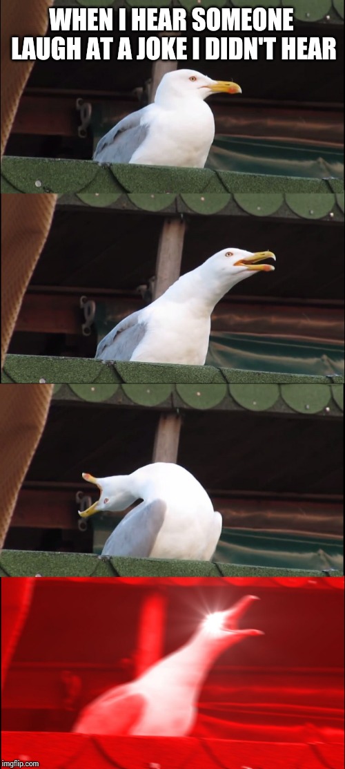 Inhaling Seagull | WHEN I HEAR SOMEONE LAUGH AT A JOKE I DIDN'T HEAR | image tagged in memes,inhaling seagull | made w/ Imgflip meme maker