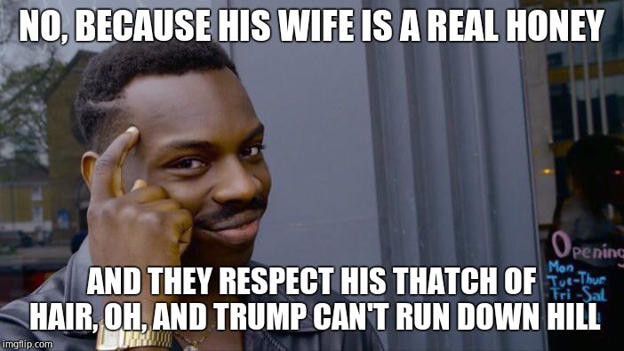 Roll Safe Think About It Meme | NO, BECAUSE HIS WIFE IS A REAL HONEY AND THEY RESPECT HIS THATCH OF HAIR, OH, AND TRUMP CAN'T RUN DOWN HILL | image tagged in memes,roll safe think about it | made w/ Imgflip meme maker