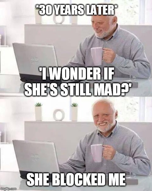 Hide The Pain... | *30 YEARS LATER*; 'I WONDER IF SHE'S STILL MAD?'; SHE BLOCKED ME | image tagged in memes,hide the pain harold,funny,funny memes,women,facebook | made w/ Imgflip meme maker