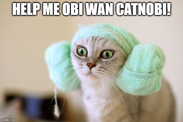 You're My Only Hope! | HELP ME OBI WAN CATNOBI! | image tagged in funny cats | made w/ Imgflip meme maker