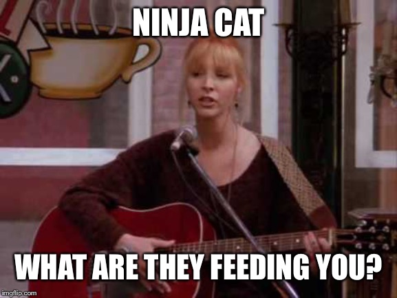 Phoebe singing smelly cat | NINJA CAT WHAT ARE THEY FEEDING YOU? | image tagged in phoebe singing smelly cat | made w/ Imgflip meme maker