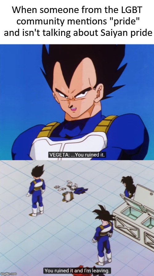 You ruined it and I'm Leaving | When someone from the LGBT community mentions "pride" and isn't talking about Saiyan pride | image tagged in you ruined it and i'm leaving | made w/ Imgflip meme maker