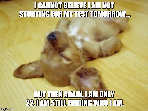 No shame? --No.  I am just a child | I CANNOT BELIEVE I AM NOT STUDYING FOR MY TEST TOMORROW... BUT THEN AGAIN, I AM ONLY 22. I AM STILL FINDING WHO I AM. | image tagged in passed out puppy | made w/ Imgflip meme maker