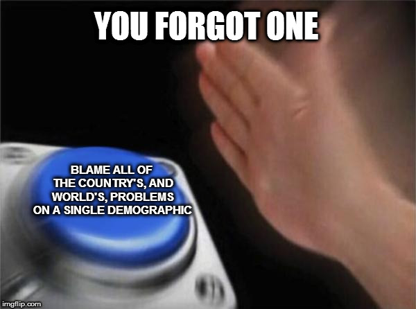 Blank Nut Button Meme | YOU FORGOT ONE BLAME ALL OF THE COUNTRY'S, AND WORLD'S, PROBLEMS ON A SINGLE DEMOGRAPHIC | image tagged in memes,blank nut button | made w/ Imgflip meme maker