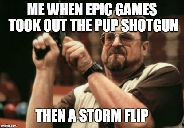 Am I The Only One Around Here Meme | ME WHEN EPIC GAMES TOOK OUT THE PUP SHOTGUN; THEN A STORM FLIP | image tagged in memes,am i the only one around here | made w/ Imgflip meme maker