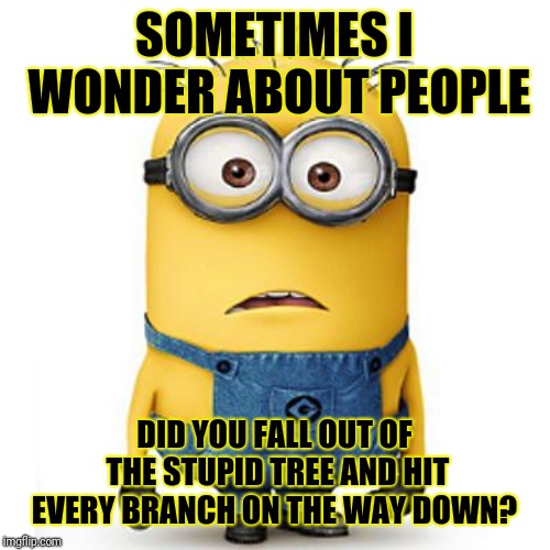 Minions | SOMETIMES I WONDER ABOUT PEOPLE; DID YOU FALL OUT OF THE STUPID TREE AND HIT EVERY BRANCH ON THE WAY DOWN? | image tagged in minions | made w/ Imgflip meme maker