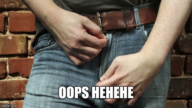 zipper | OOPS HEHEHE | image tagged in zipper | made w/ Imgflip meme maker