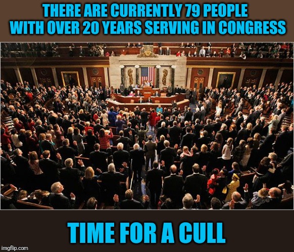Their seniority hinders the country | THERE ARE CURRENTLY 79 PEOPLE  WITH OVER 20 YEARS SERVING IN CONGRESS; TIME FOR A CULL | image tagged in congress | made w/ Imgflip meme maker