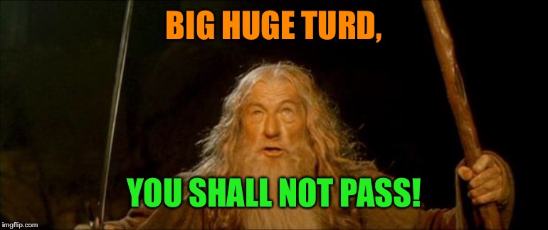 gandalf you shall not pass | BIG HUGE TURD, YOU SHALL NOT PASS! | image tagged in gandalf you shall not pass | made w/ Imgflip meme maker