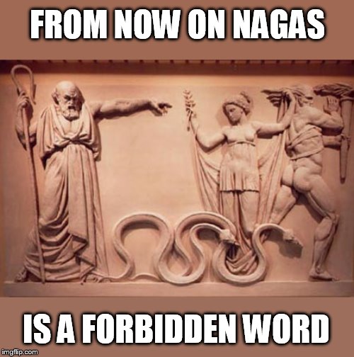 you snake people need to leave | FROM NOW ON NAGAS; IS A FORBIDDEN WORD | image tagged in begone snakes,cencorship,nagas,hindu | made w/ Imgflip meme maker