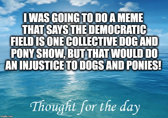 (Not Up To A)DOG and PONY Show | I WAS GOING TO DO A MEME THAT SAYS THE DEMOCRATIC FIELD IS ONE COLLECTIVE DOG AND PONY SHOW, BUT THAT WOULD DO AN INJUSTICE TO DOGS AND PONIES! | image tagged in politics,political meme,political | made w/ Imgflip meme maker