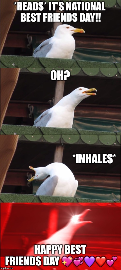 Inhaling Seagull | *READS* IT’S NATIONAL BEST FRIENDS DAY!! OH? *INHALES*; HAPPY BEST FRIENDS DAY 💖💞💜❤️💕 | image tagged in memes,inhaling seagull | made w/ Imgflip meme maker