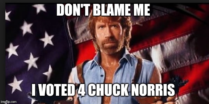 Patriotic as Chuck Norris | DON'T BLAME ME; I VOTED 4 CHUCK NORRIS | image tagged in patriotic as chuck norris | made w/ Imgflip meme maker
