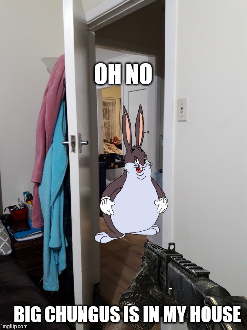 When you found what was the stomping sounds thats coming from the bathroom | OH NO; BIG CHUNGUS IS IN MY HOUSE | image tagged in random thing in your house | made w/ Imgflip meme maker