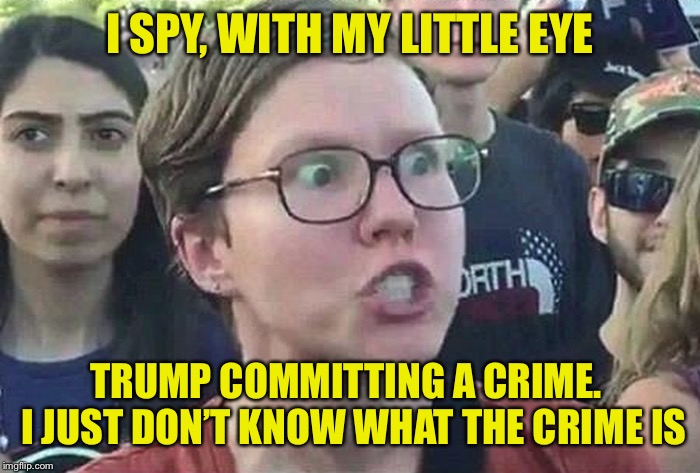 Triggered Liberal | I SPY, WITH MY LITTLE EYE TRUMP COMMITTING A CRIME.  I JUST DON’T KNOW WHAT THE CRIME IS | image tagged in triggered liberal | made w/ Imgflip meme maker