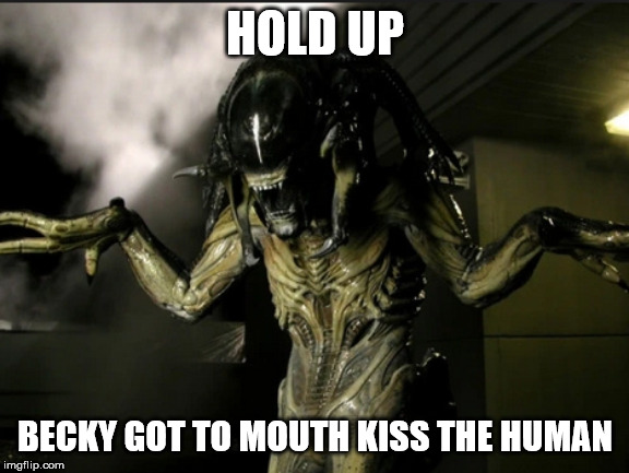 wait | HOLD UP; BECKY GOT TO MOUTH KISS THE HUMAN | image tagged in wait | made w/ Imgflip meme maker