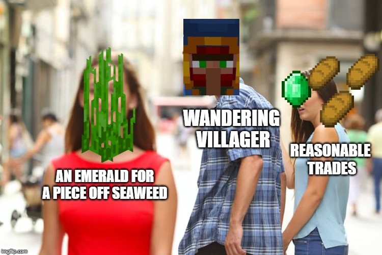 Minecraft Meme | WANDERING VILLAGER; REASONABLE TRADES; AN EMERALD FOR A PIECE OFF SEAWEED | image tagged in memes | made w/ Imgflip meme maker