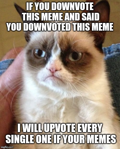 What will happen if you | IF YOU DOWNVOTE THIS MEME AND SAID YOU DOWNVOTED THIS MEME; I WILL UPVOTE EVERY SINGLE ONE IF YOUR MEMES | image tagged in memes,grumpy cat | made w/ Imgflip meme maker