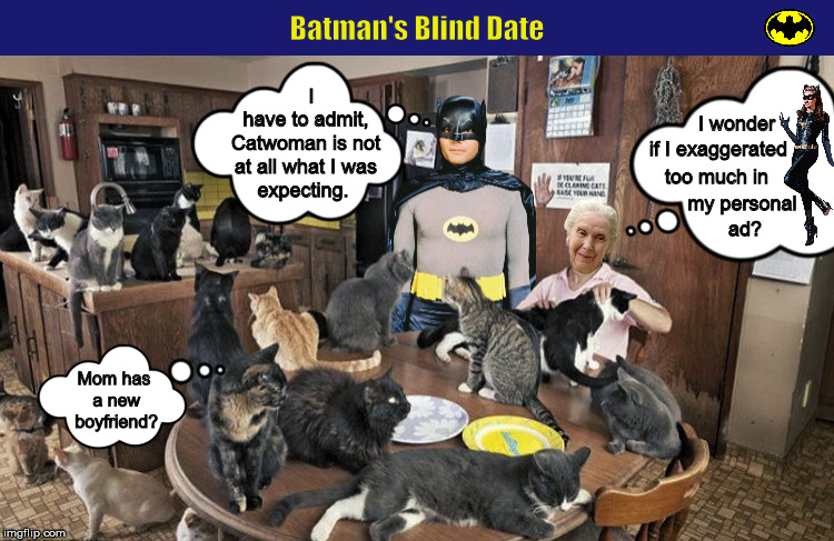 Batman's Blind Date | image tagged in batman,catwoman,cats,blind date,funny,memes | made w/ Imgflip meme maker