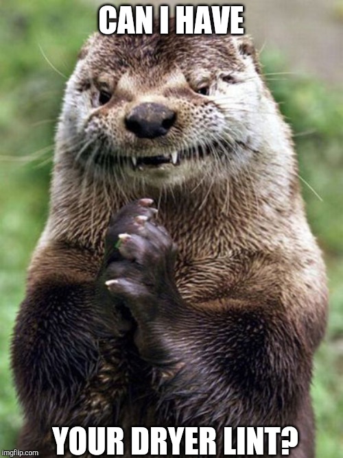 Evil Otter | CAN I HAVE; YOUR DRYER LINT? | image tagged in memes,evil otter | made w/ Imgflip meme maker