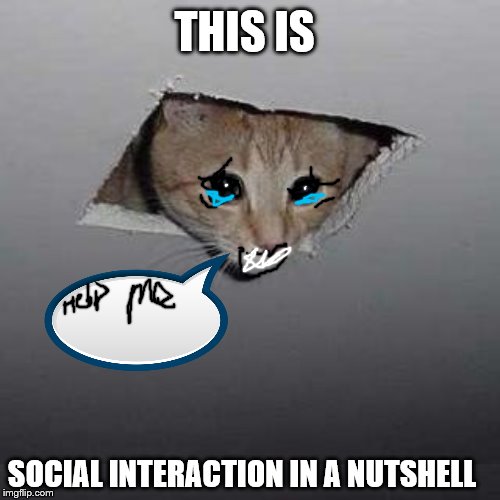 Ceiling Cat | THIS IS; SOCIAL INTERACTION IN A NUTSHELL | image tagged in memes,ceiling cat | made w/ Imgflip meme maker