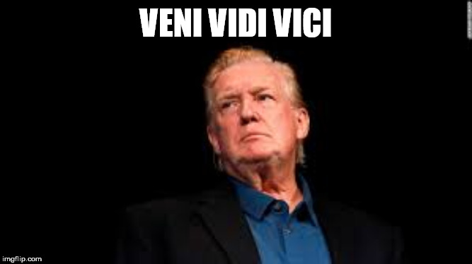 The Don | VENI VIDI VICI | image tagged in the don | made w/ Imgflip meme maker