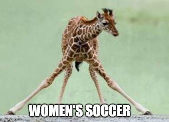 giraffe | WOMEN'S SOCCER | image tagged in giraffe | made w/ Imgflip meme maker