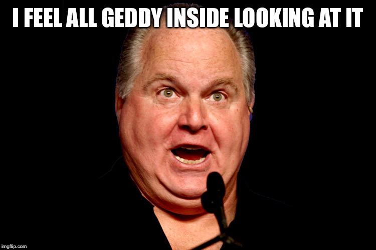 rush limbaugh | I FEEL ALL GEDDY INSIDE LOOKING AT IT | image tagged in rush limbaugh | made w/ Imgflip meme maker