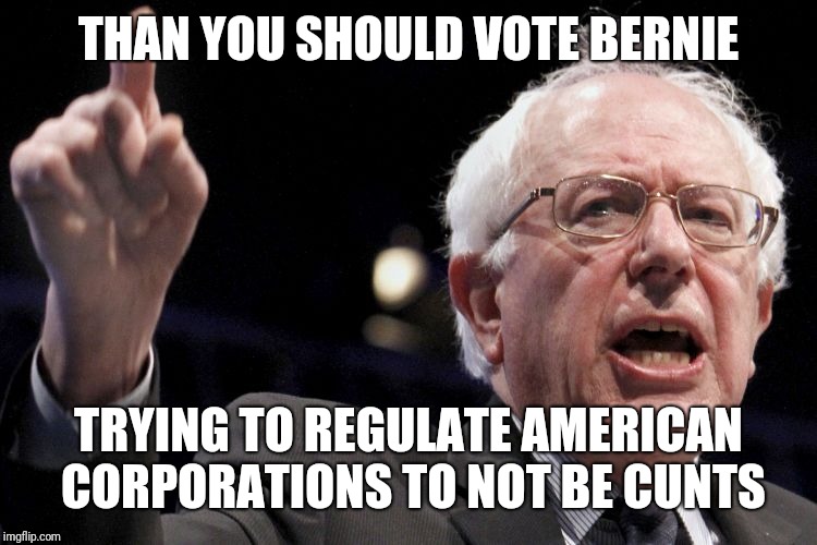 Bernie Sanders | THAN YOU SHOULD VOTE BERNIE TRYING TO REGULATE AMERICAN CORPORATIONS TO NOT BE C**TS | image tagged in bernie sanders | made w/ Imgflip meme maker