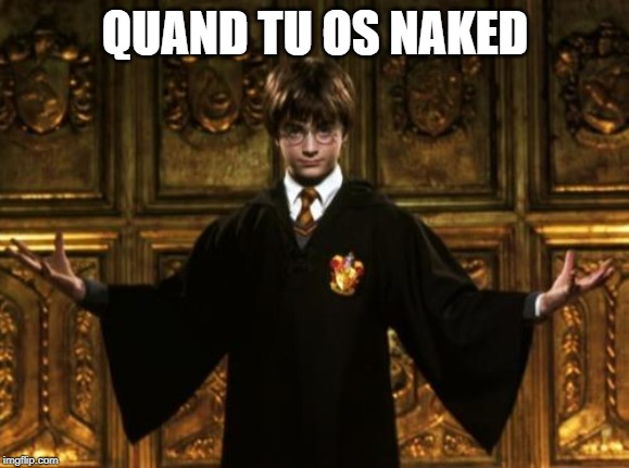 Harry Potter Welcome | QUAND TU OS NAKED | image tagged in harry potter welcome | made w/ Imgflip meme maker