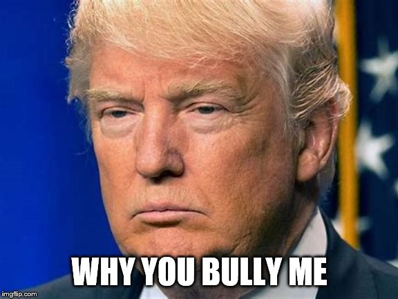 Sad Trump | WHY YOU BULLY ME | image tagged in funny memes,donald trump | made w/ Imgflip meme maker
