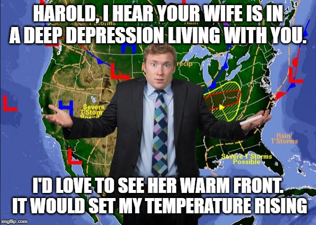 Weather Dude | HAROLD, I HEAR YOUR WIFE IS IN A DEEP DEPRESSION LIVING WITH YOU. I'D LOVE TO SEE HER WARM FRONT. IT WOULD SET MY TEMPERATURE RISING | image tagged in weather dude | made w/ Imgflip meme maker