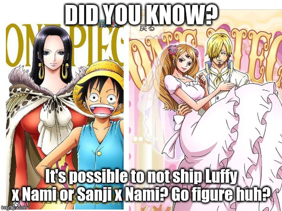Go figure! |  DID YOU KNOW? It's possible to not ship Luffy x Nami or Sanji x Nami? Go figure huh? | image tagged in anime,one piece,shipping,controversial,who knew | made w/ Imgflip meme maker