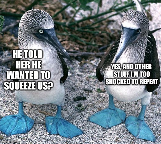  YES, AND OTHER STUFF I’M TOO SHOCKED TO REPEAT; HE TOLD HER HE WANTED TO SQUEEZE US? | image tagged in blue footed boobies | made w/ Imgflip meme maker
