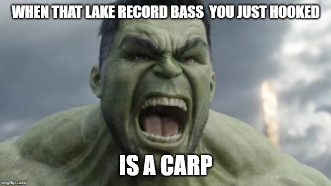 WHEN THAT LAKE RECORD BASS  YOU JUST HOOKED; IS A CARP | made w/ Imgflip meme maker