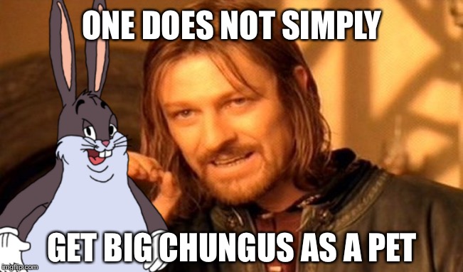 One Does Not Simply | ONE DOES NOT SIMPLY; GET BIG CHUNGUS AS A PET | image tagged in memes,one does not simply,big chungus | made w/ Imgflip meme maker