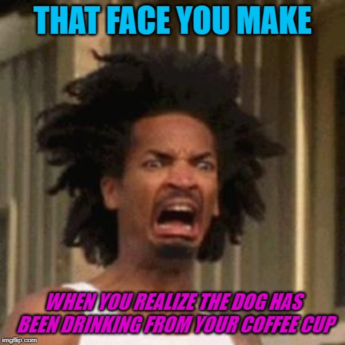 That explains the zoomies. | THAT FACE YOU MAKE; WHEN YOU REALIZE THE DOG HAS BEEN DRINKING FROM YOUR COFFEE CUP | image tagged in crab man eww,nixieknox,memes,repost | made w/ Imgflip meme maker